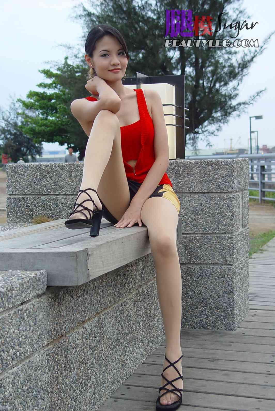 [BeautyLeg] No.015 Sugar 在现浏览第9张