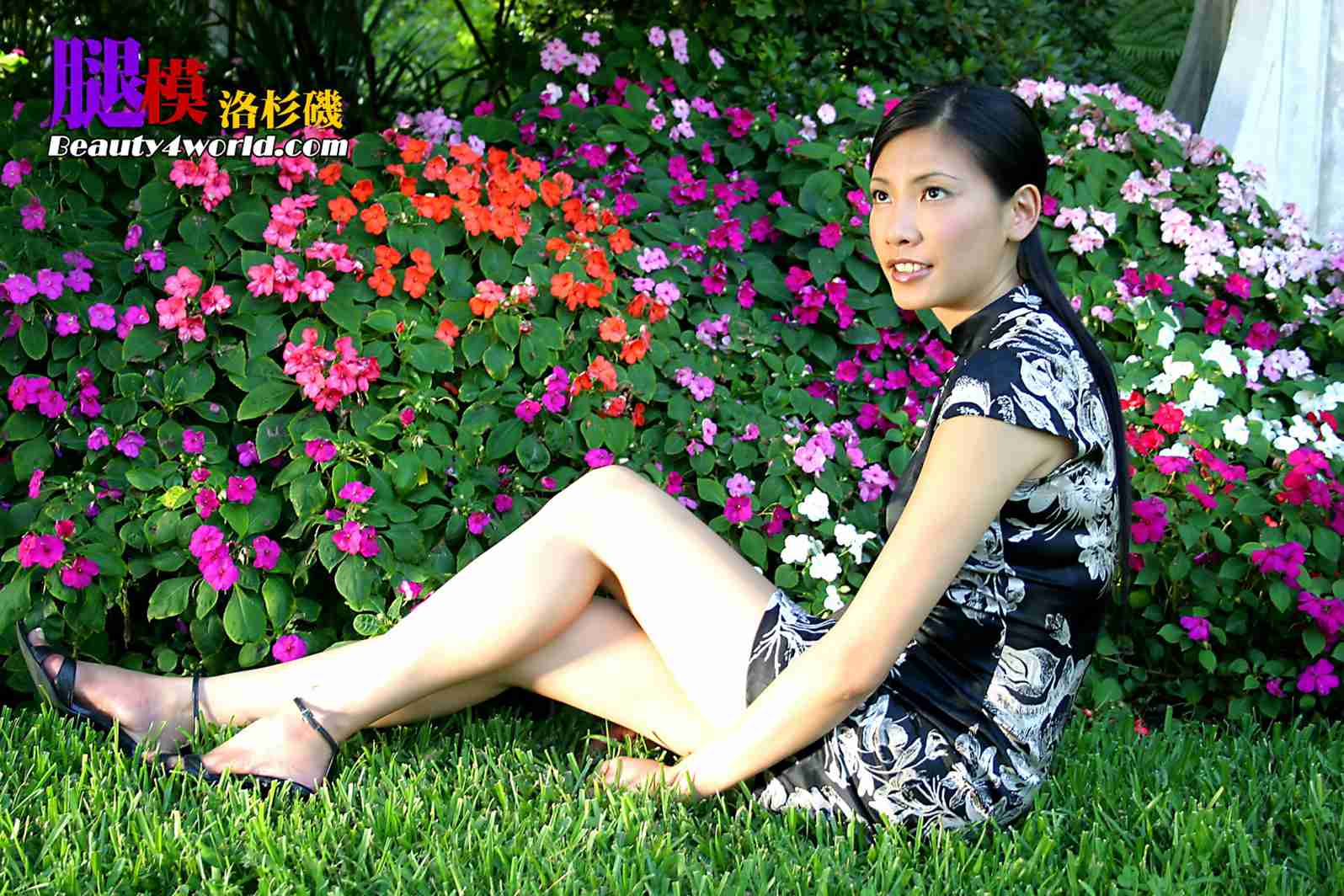 [BeautyLeg] No.027 Brenda 在现浏览第13张