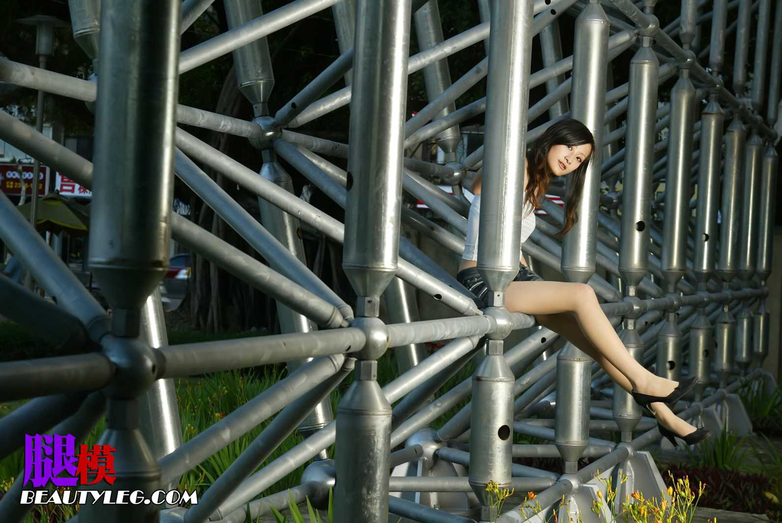 [BeautyLeg] No.042 小杨 在现浏览第33张