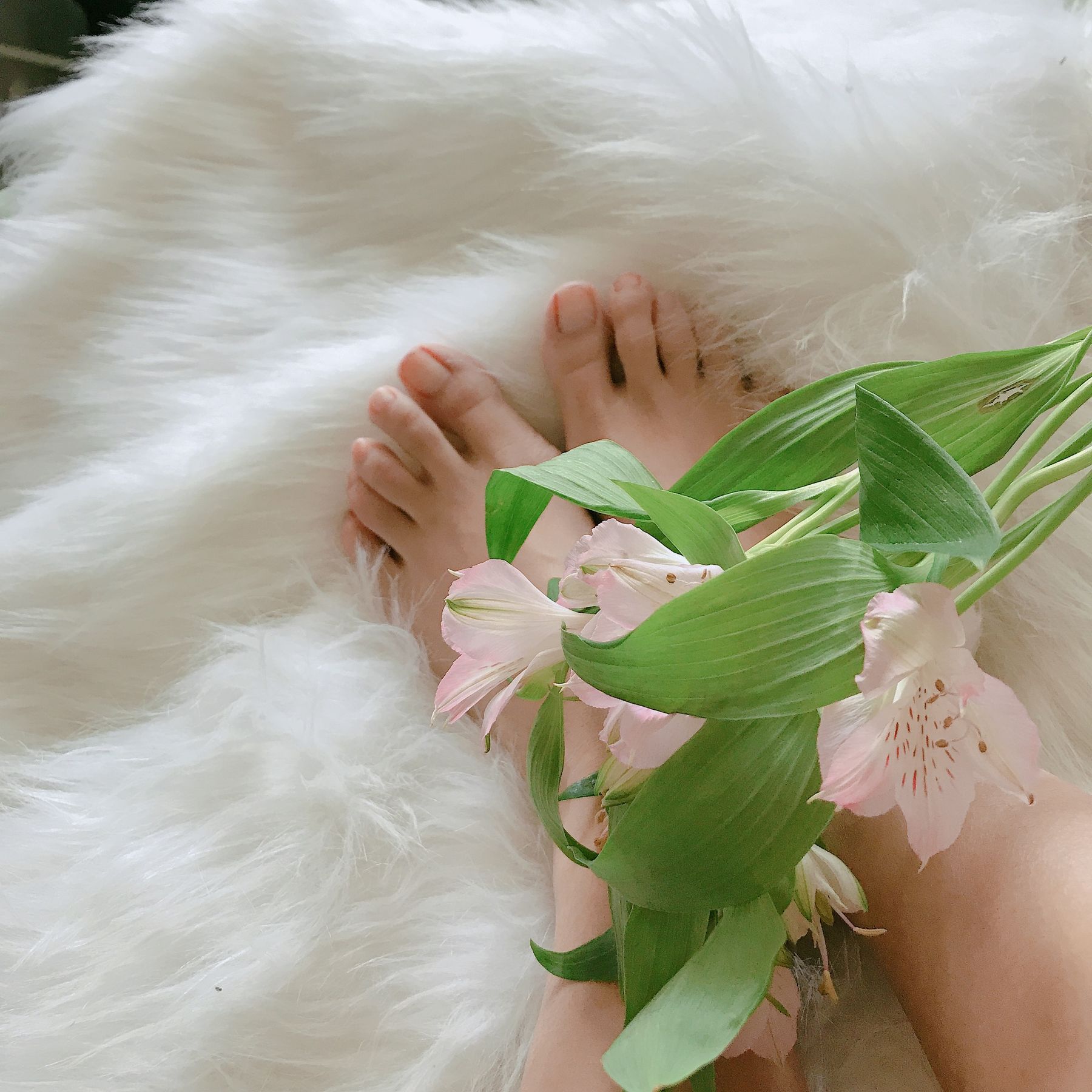 [福利COS] 安乔乔儿(Nia乔乔) No.006 学姐来了第1张