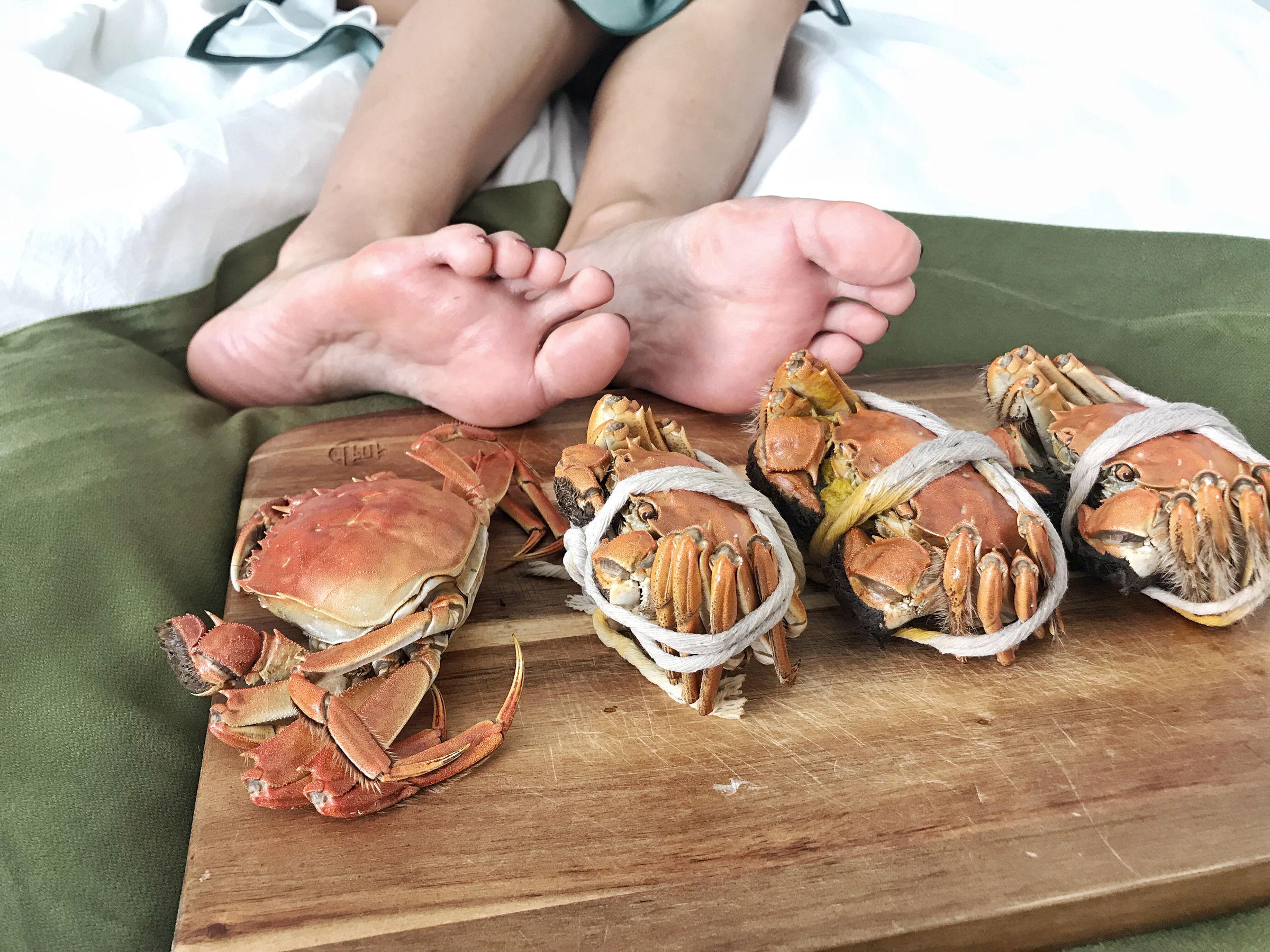 [福利COS] 安乔乔儿(Nia乔乔) No.017 安乔乔儿 黑丝旗袍第37张