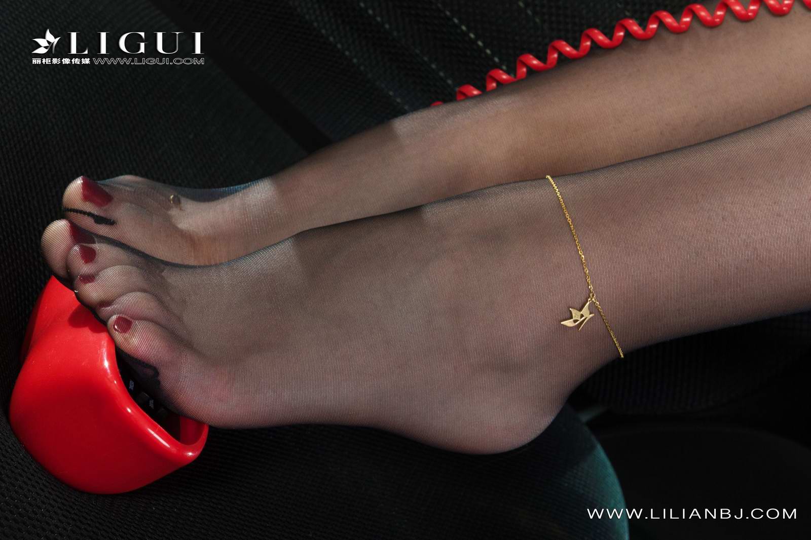 Ligui丽柜 2022.01.12 网络丽人 Model 伊萱第9张