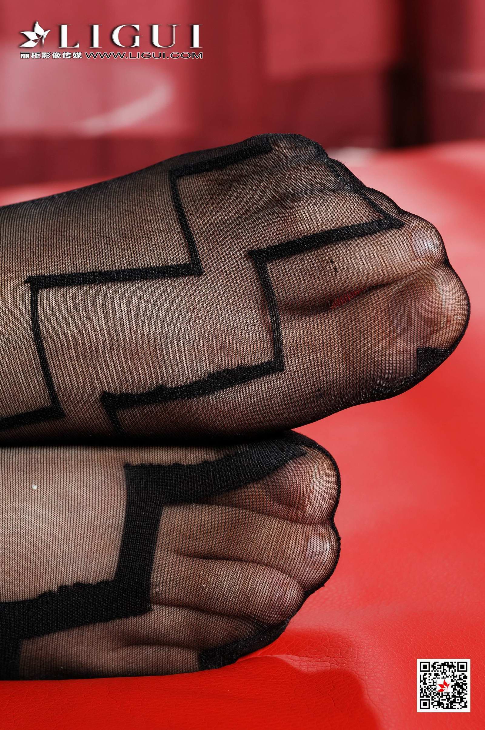 Ligui丽柜 2020.04.12 网络丽人 Model 莲莲第5张