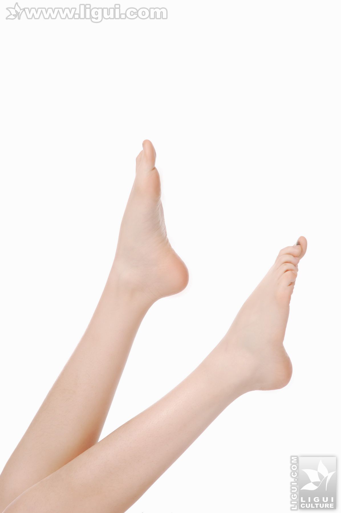 Model 张凤娇《简单高跟美足秀》 [丽柜LiGui] 美腿第1张