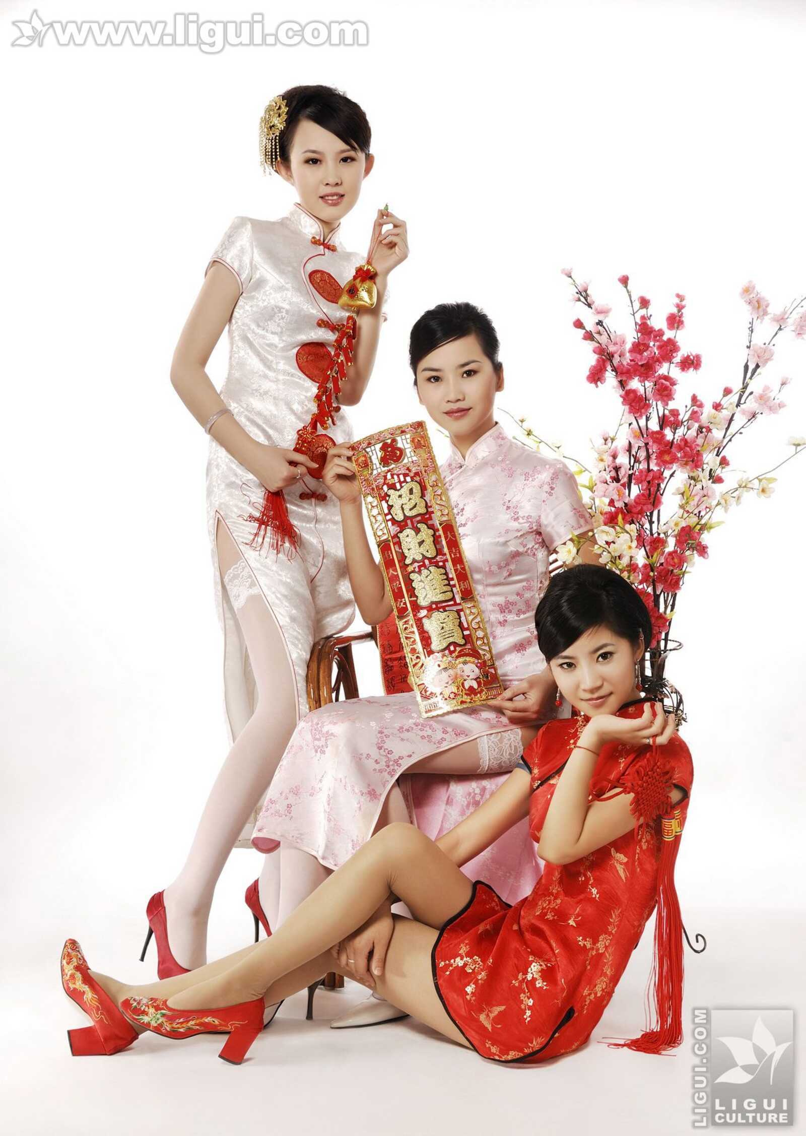 [丽柜LiGui] 《丽柜模特这里给您拜年了》 新年特第6张