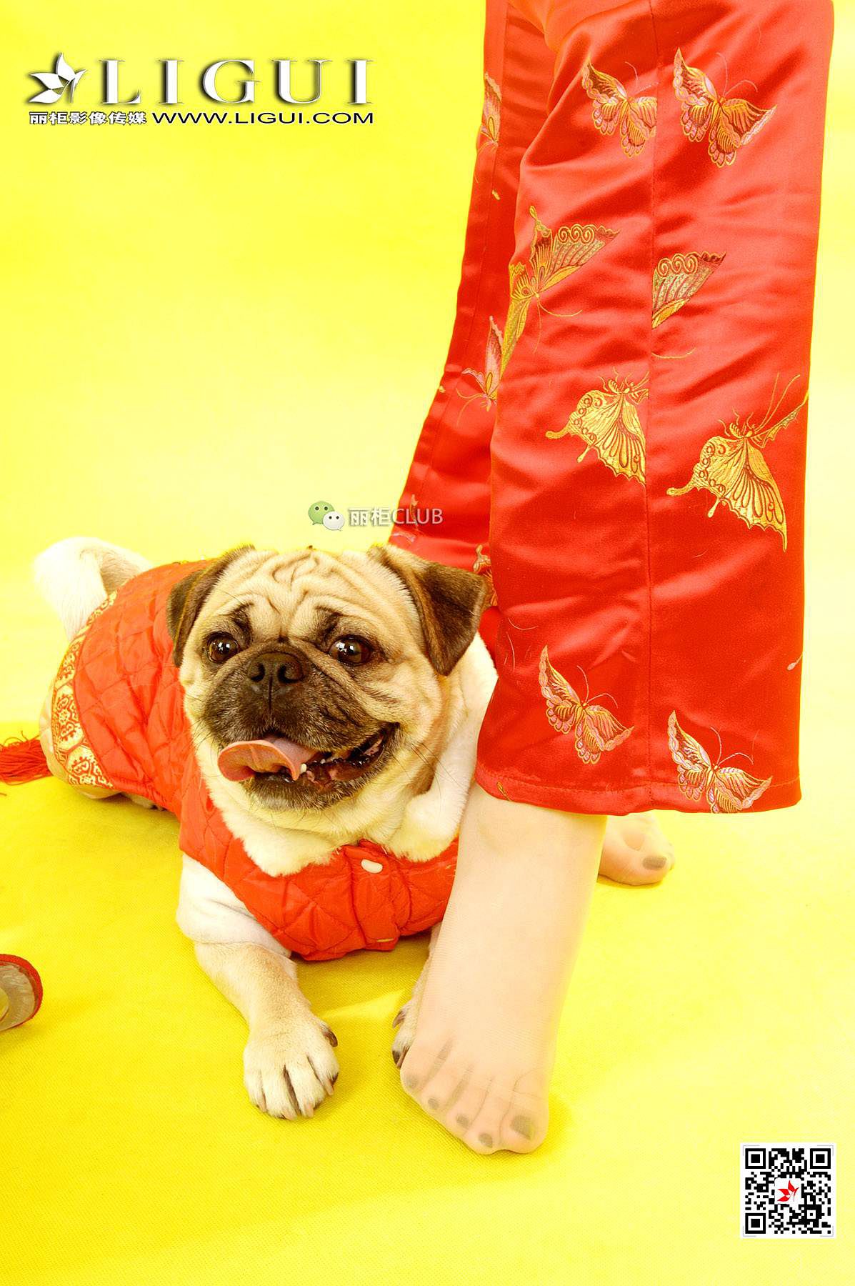 璐璐《新春丝足》 [丽柜LIGUI] 网络丽人 写真集第9张