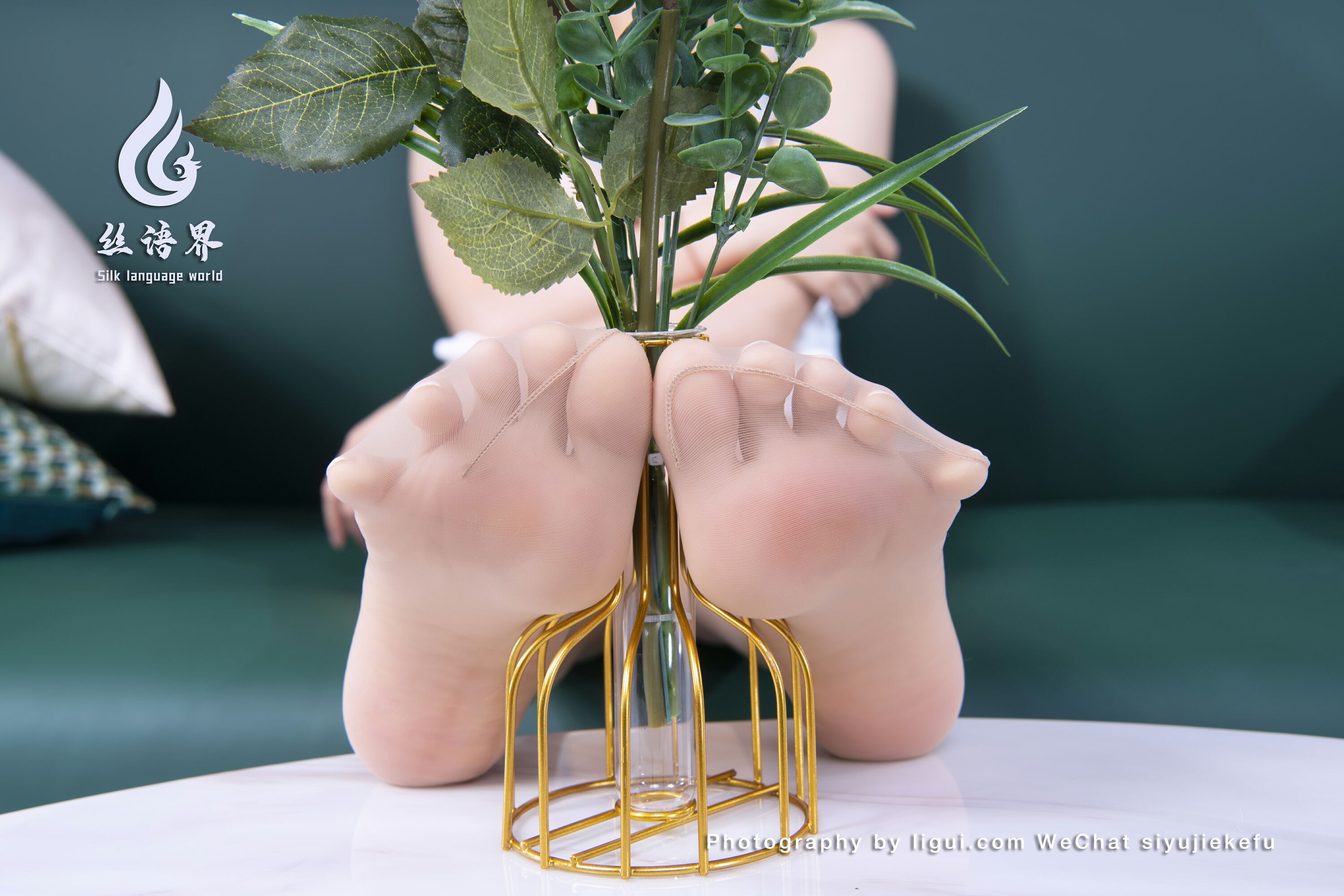 Ligui丽柜 丝语界合作 2023.03.19 《微甜的时光》安诺第4张