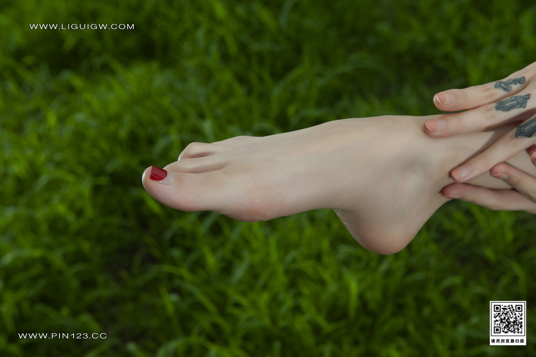 [Ligui丽柜] 2023.10.16《芳草莲香》兔子第7张