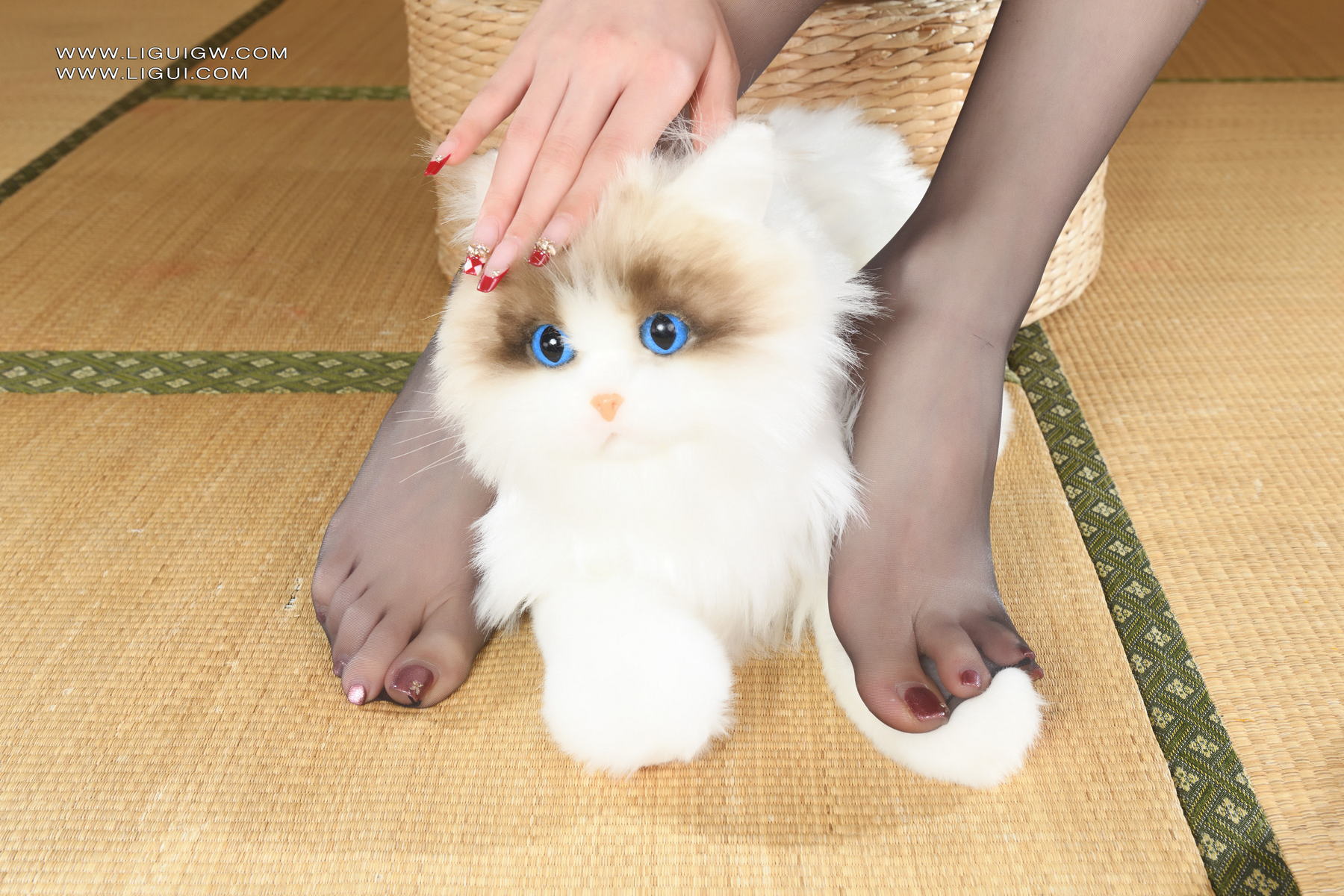 [Ligui丽柜] 2025.07.18《航丝蜜足(私人订制)》Tiantian第16张