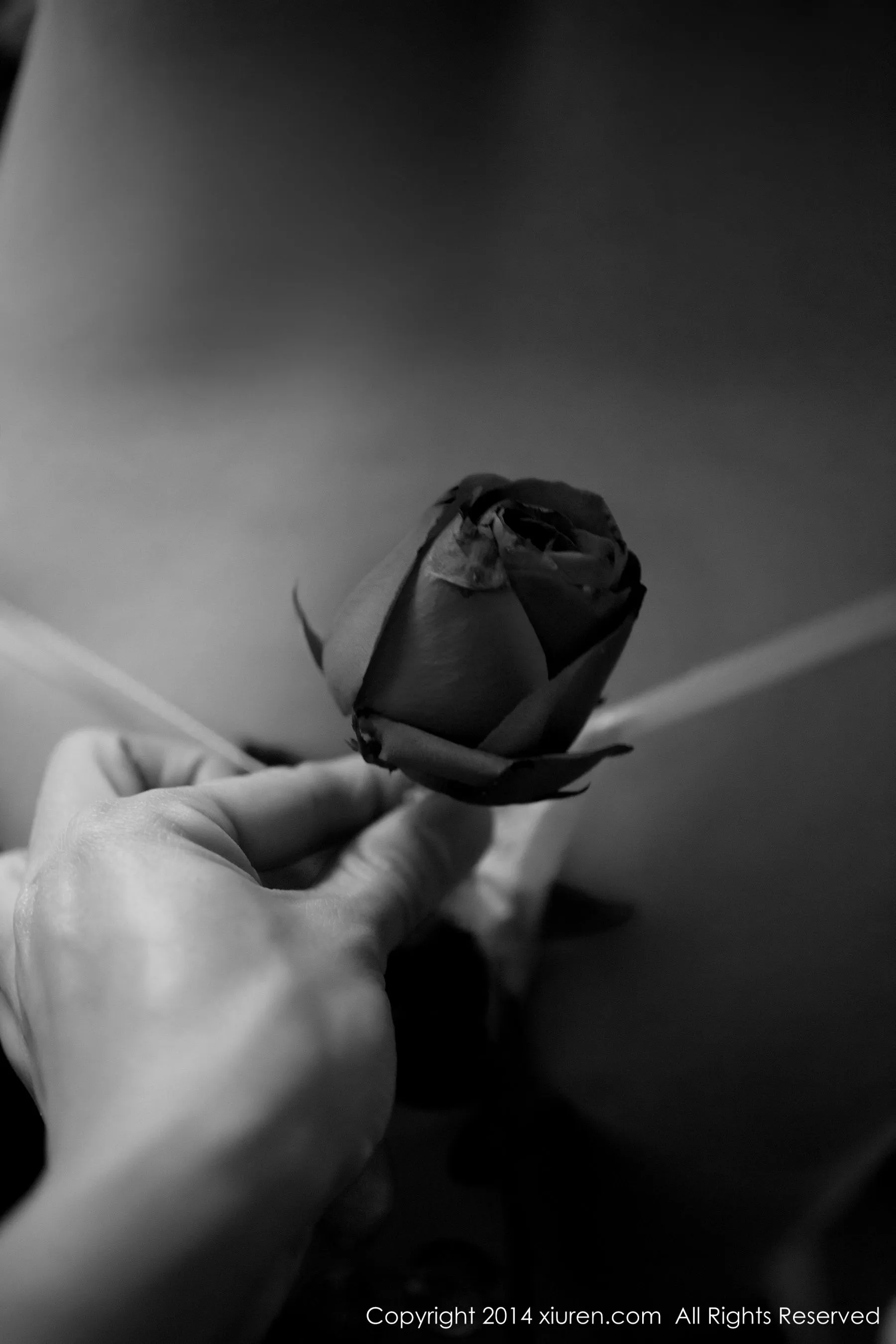 杨依《情人节套图》 秀人网 No.104第18张