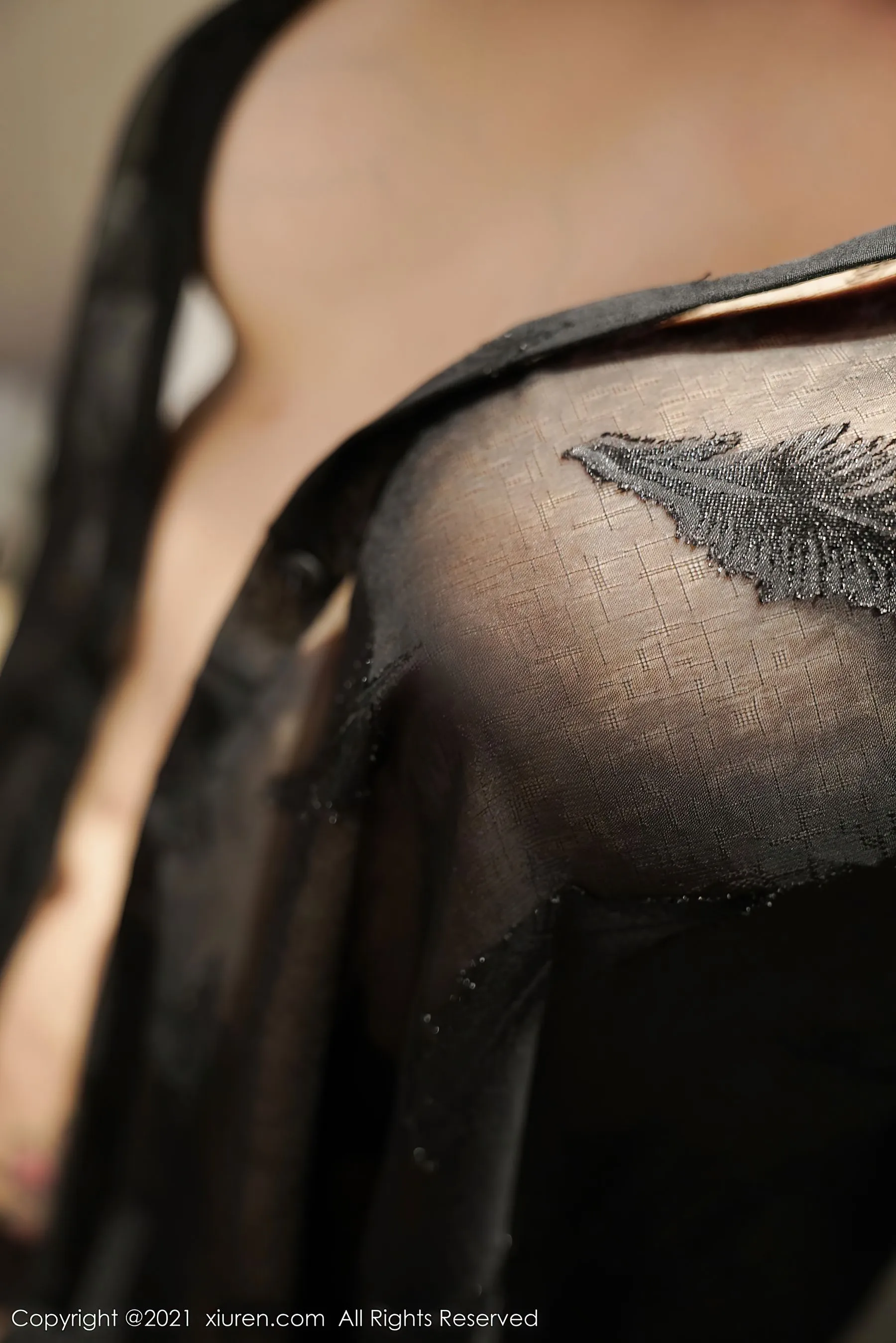 秀人 No.3906 田冰冰第18张