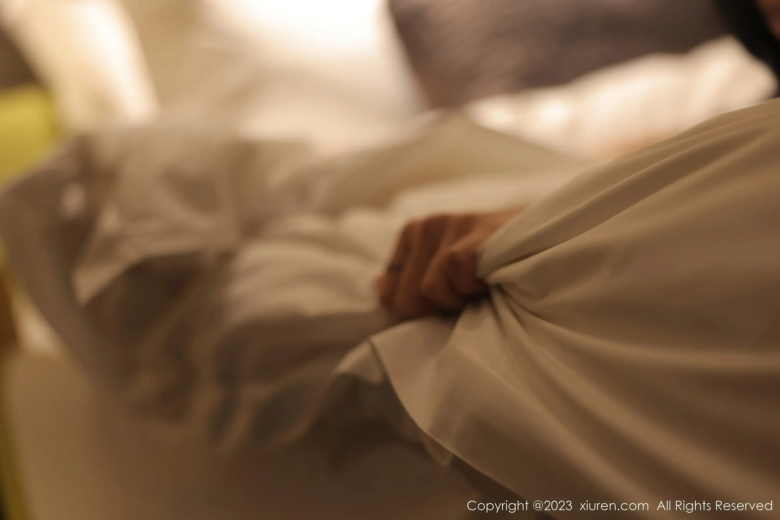  秀人网 No.6210 谢小蒽第17张