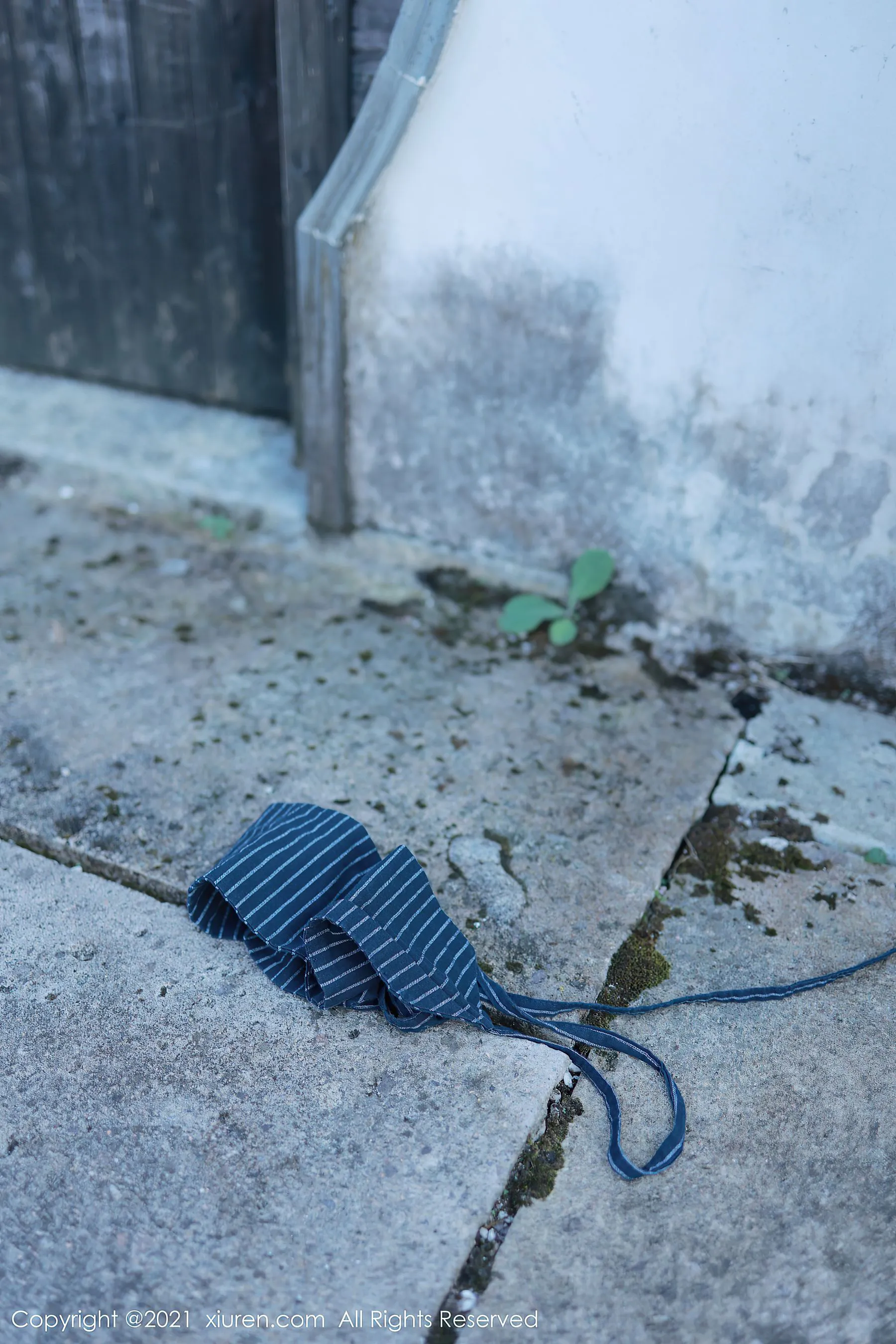 秀人 No.4032 李雅柔182CM第3张