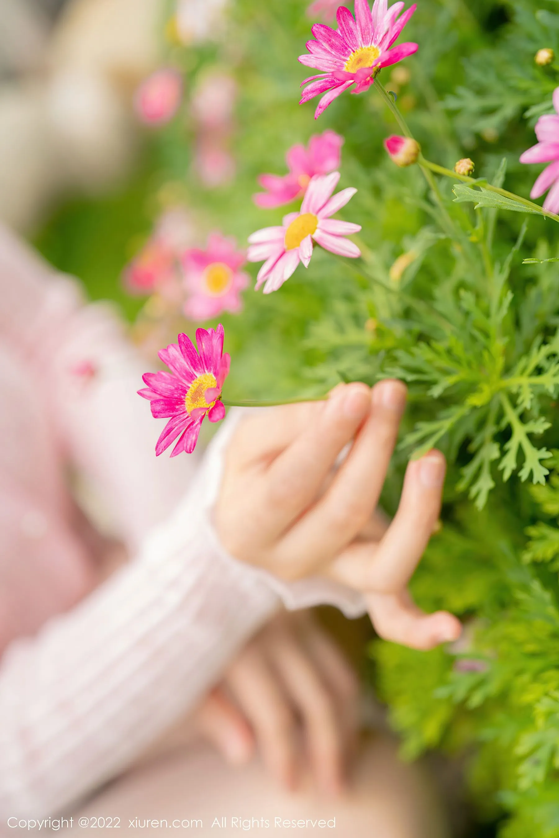  秀人网 No.5295 朱可儿Flora第14张