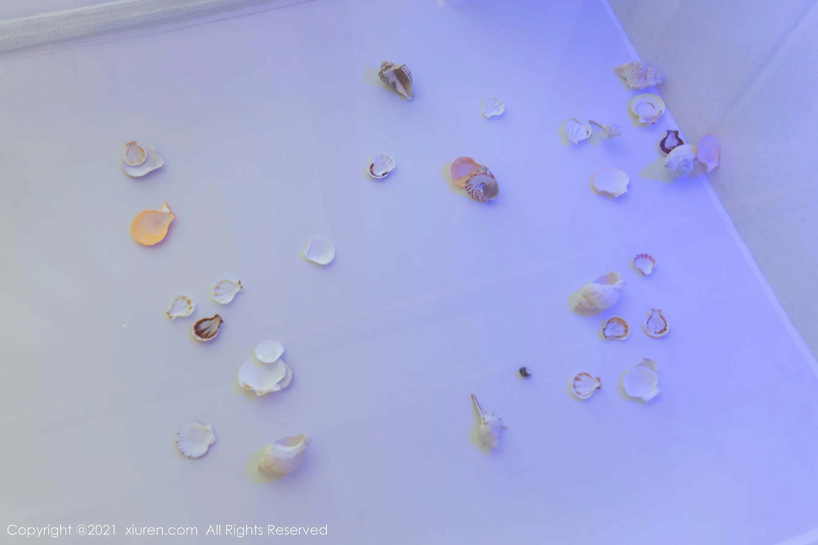 秀人 No.4103 允爾第14张