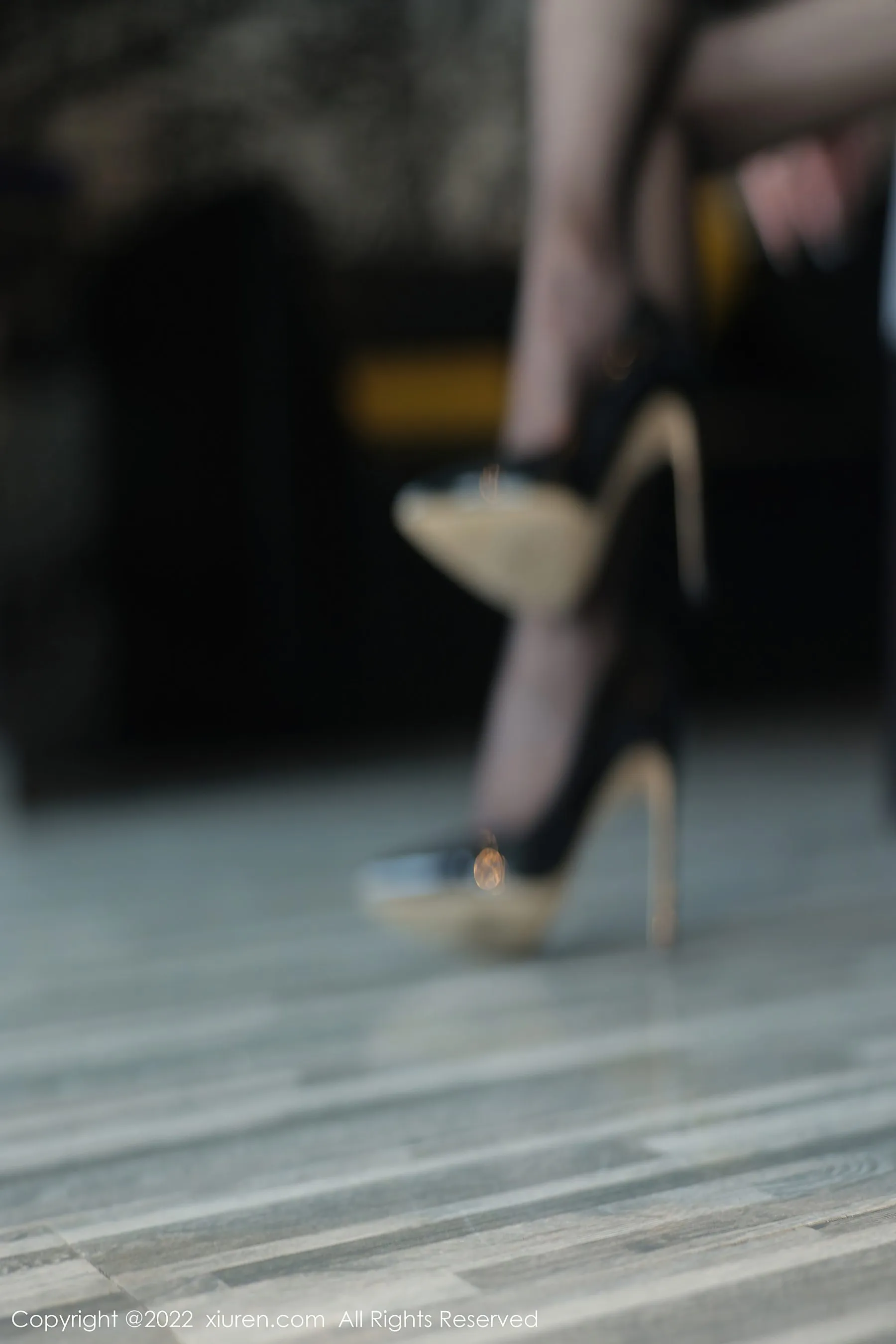  秀人网 No.5691 顾楚楚Maily 黑丝美腿第20张