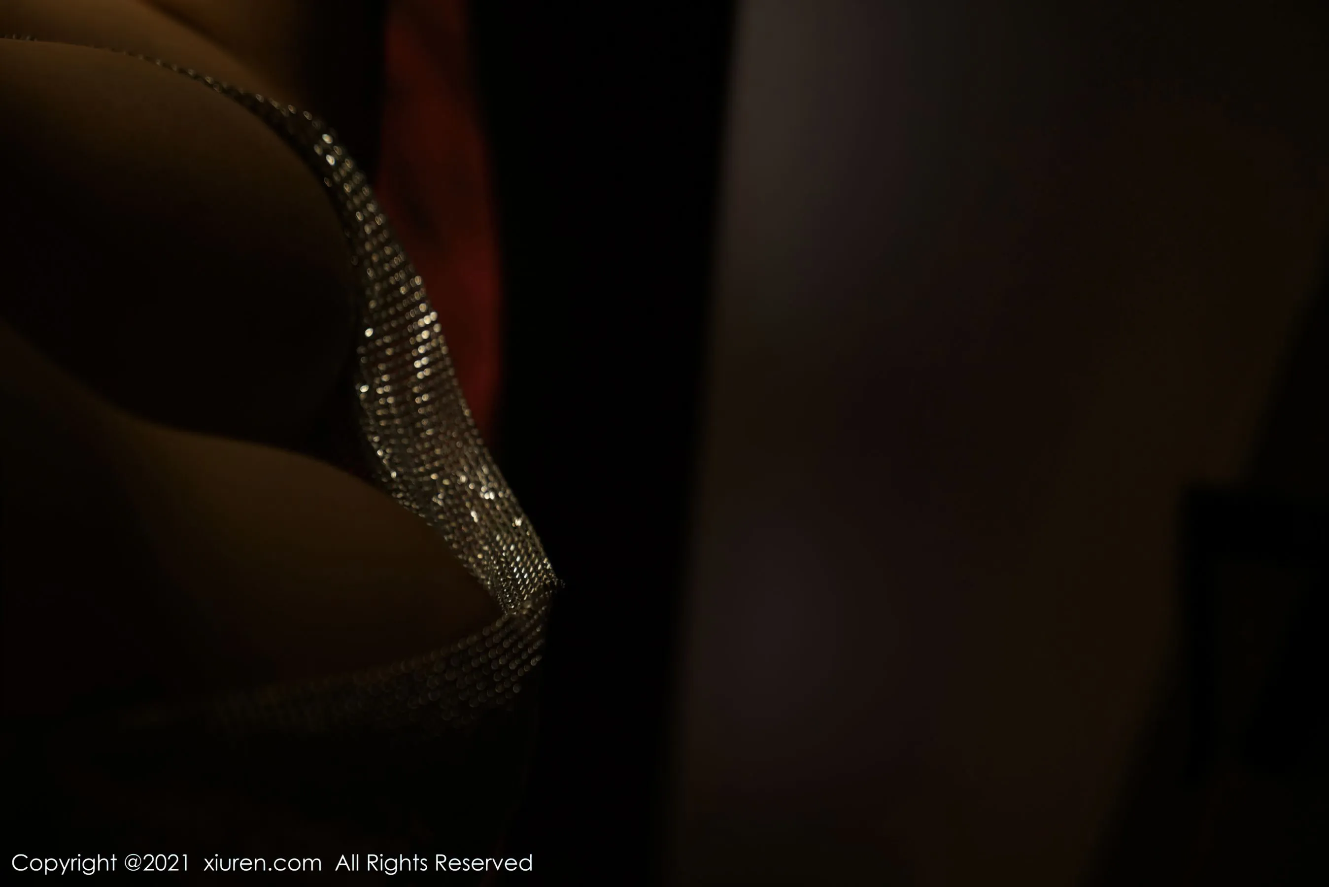  秀人 No.4110 果儿Victoria第6张