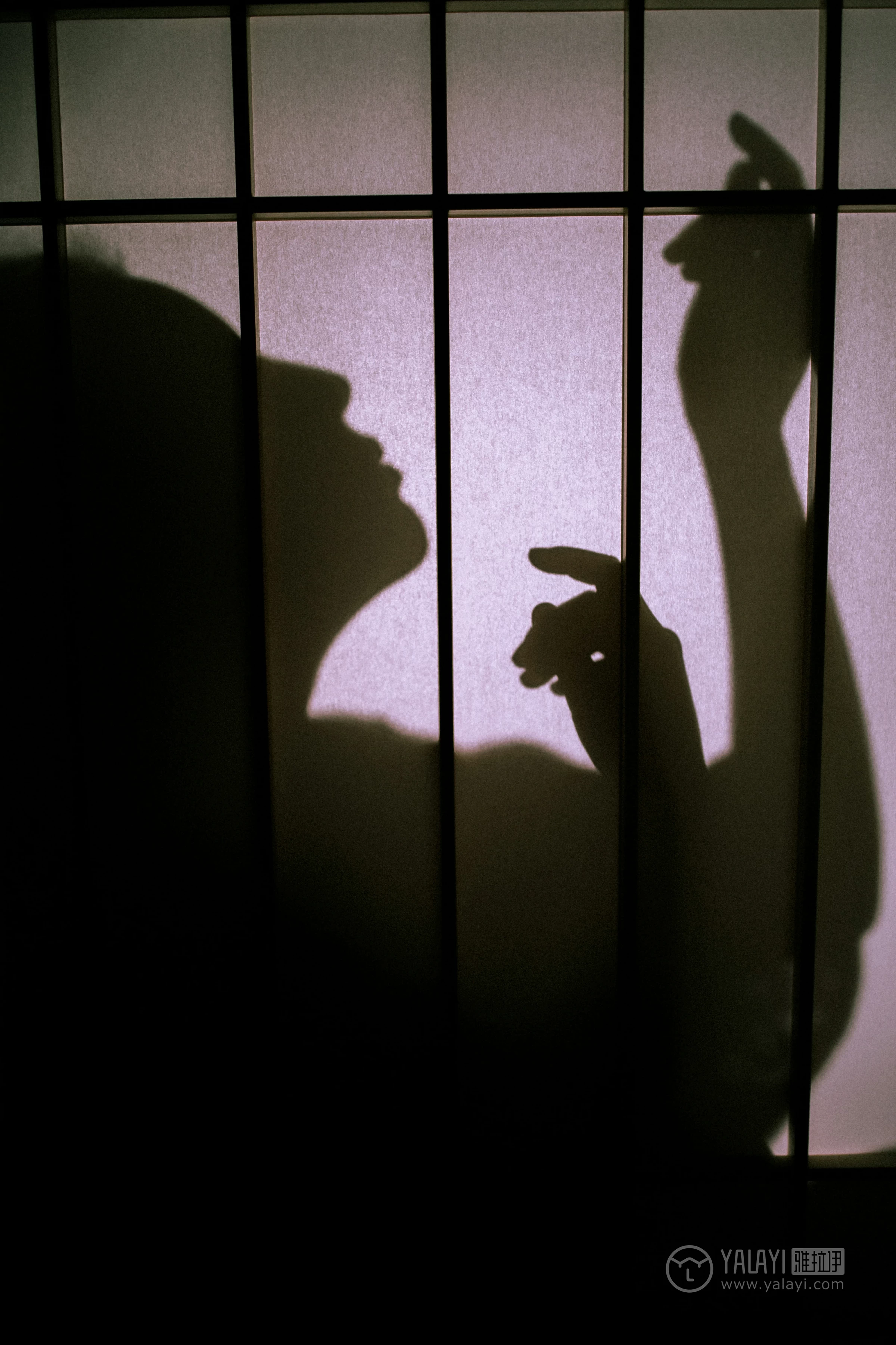 [YALAYI雅拉伊]No.202 夜光 圆圆 白色透视蕾丝镂空睡衣性感私房写真集第4张