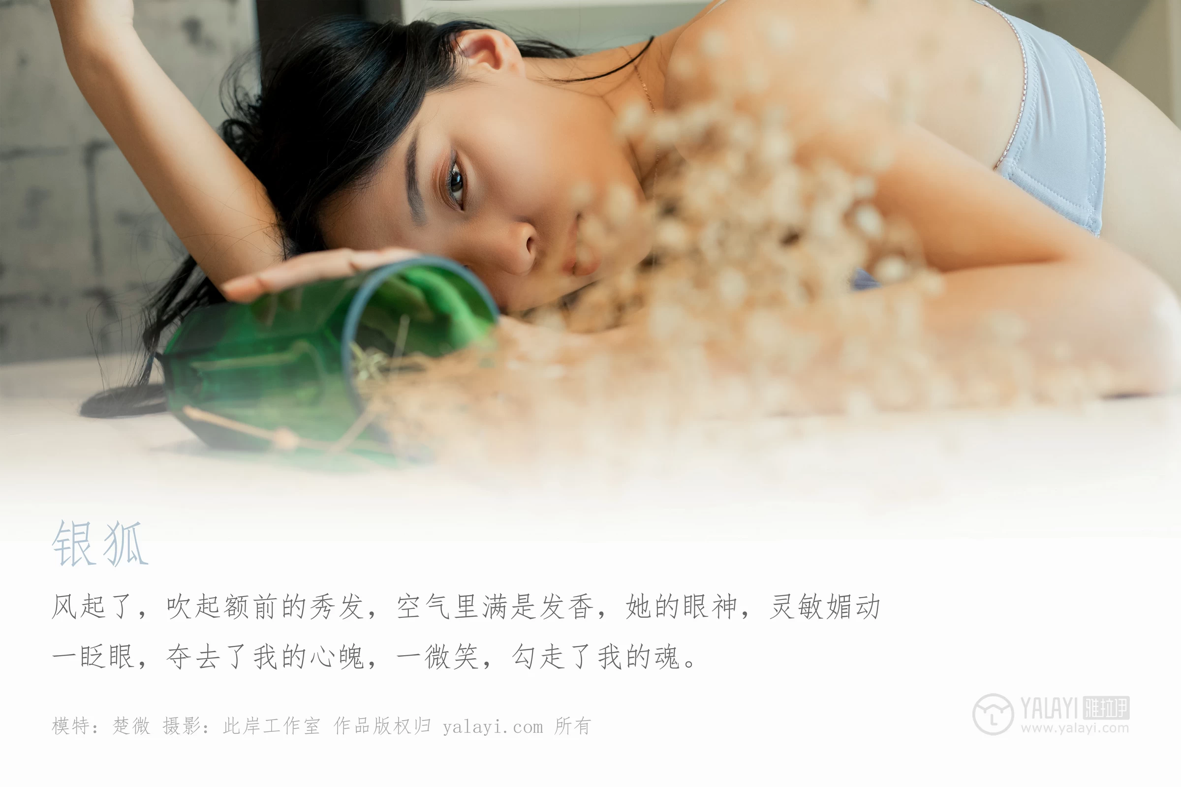 [YALAYI雅拉伊]No.324 银狐 楚薇 淡蓝色蕾丝内衣性感私房写真集第1张