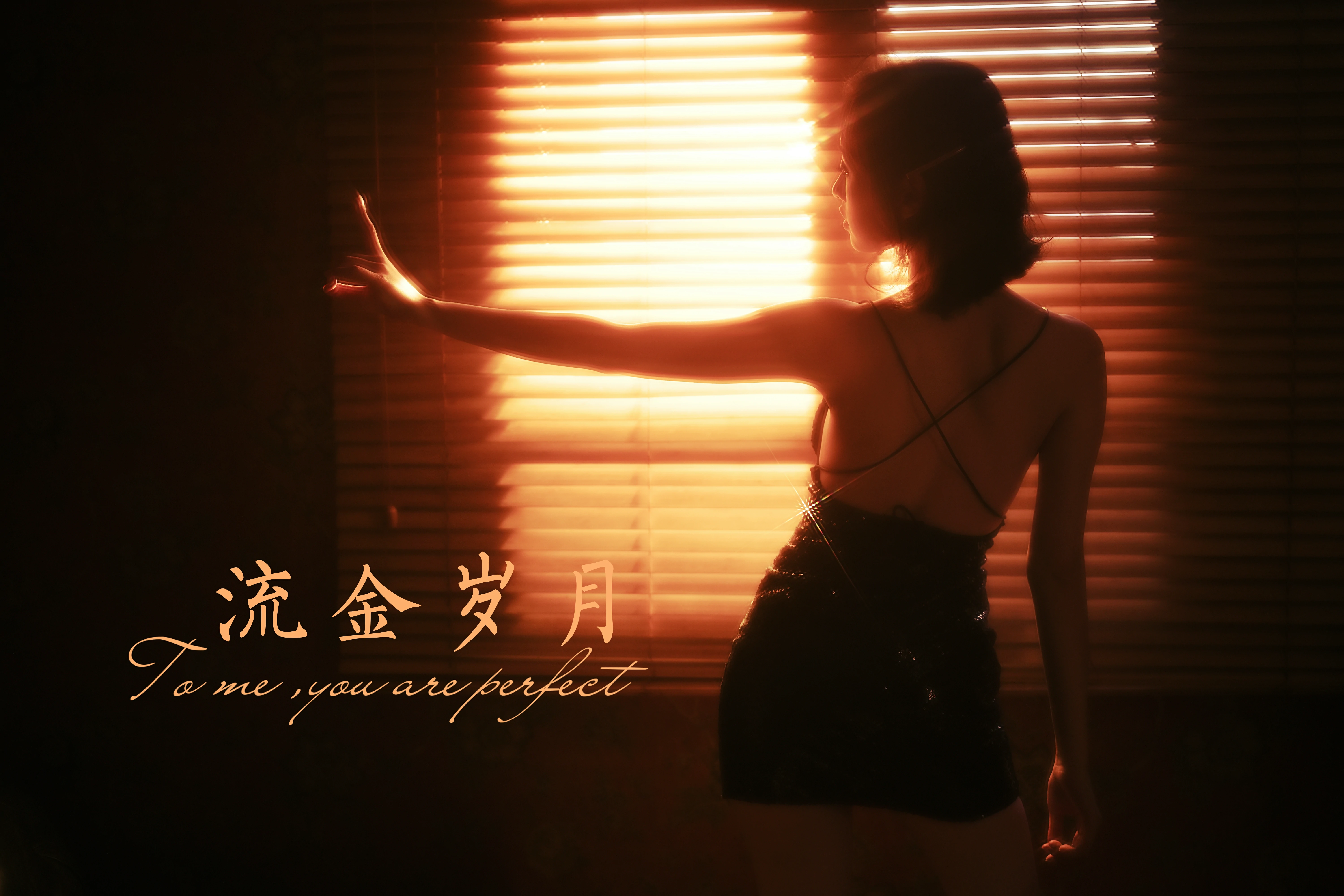 [YALAYI雅拉伊]NO.756 流金岁月 京京 黑色紧身吊带裸背连衣裙性感写真集第14张