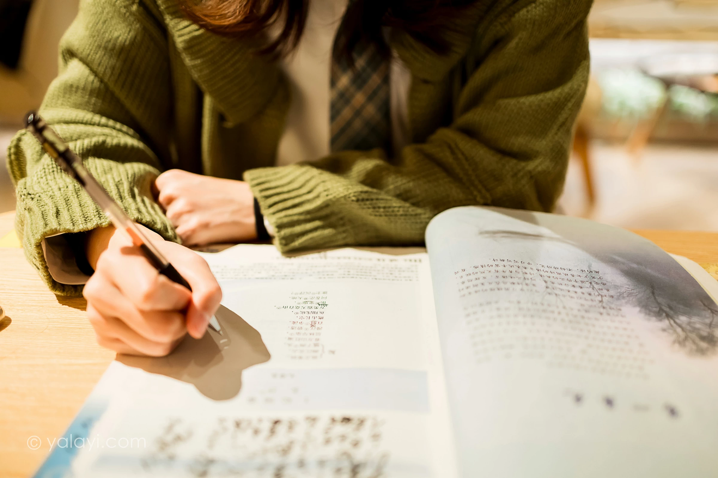 [YALAYI雅拉伊]NO.753 一起补习的日子 果果 连身外套与JK制服加格子短裙清纯写真集第5张