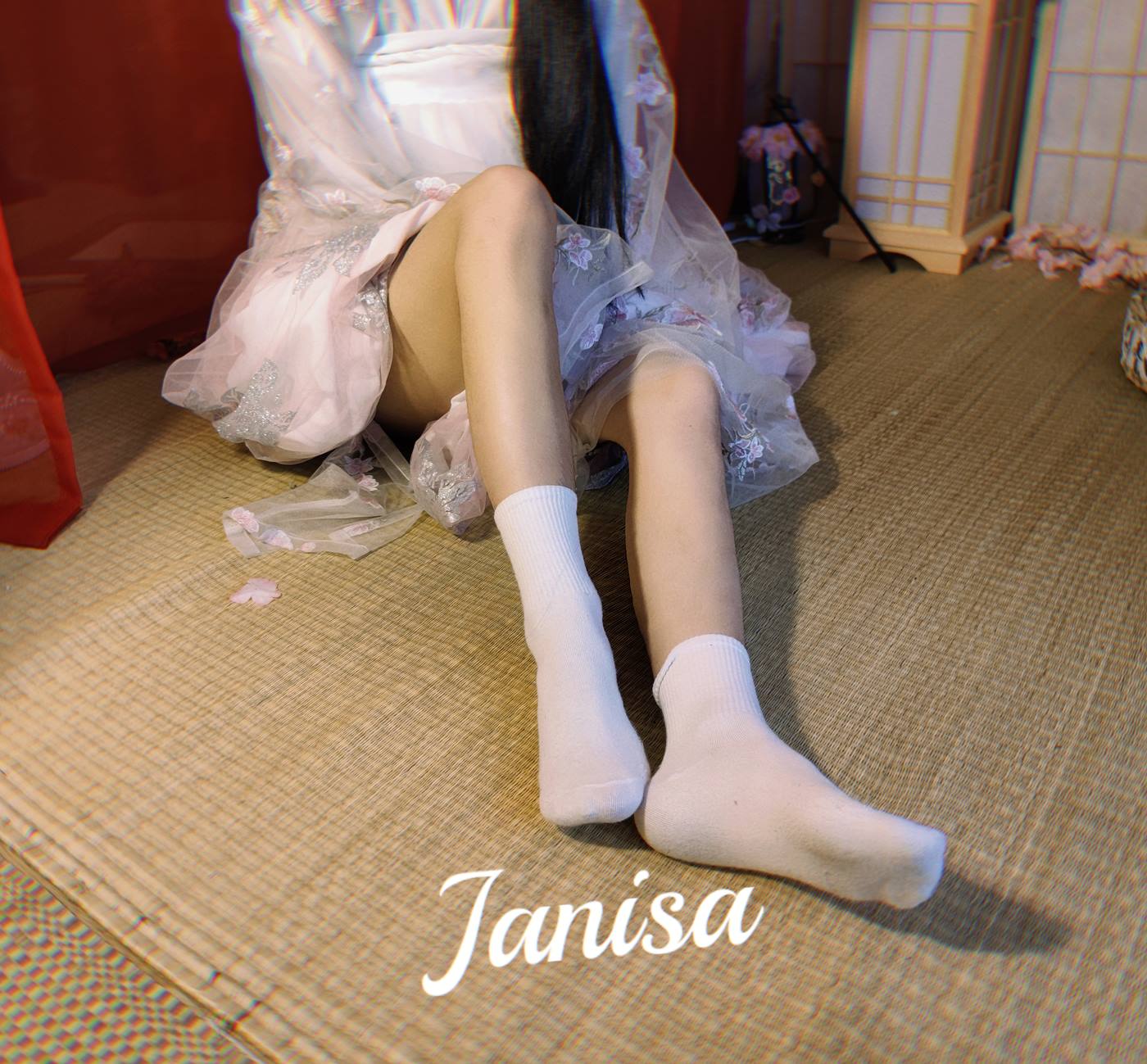 Janisa  朝花向晚 [22+1P]第2张