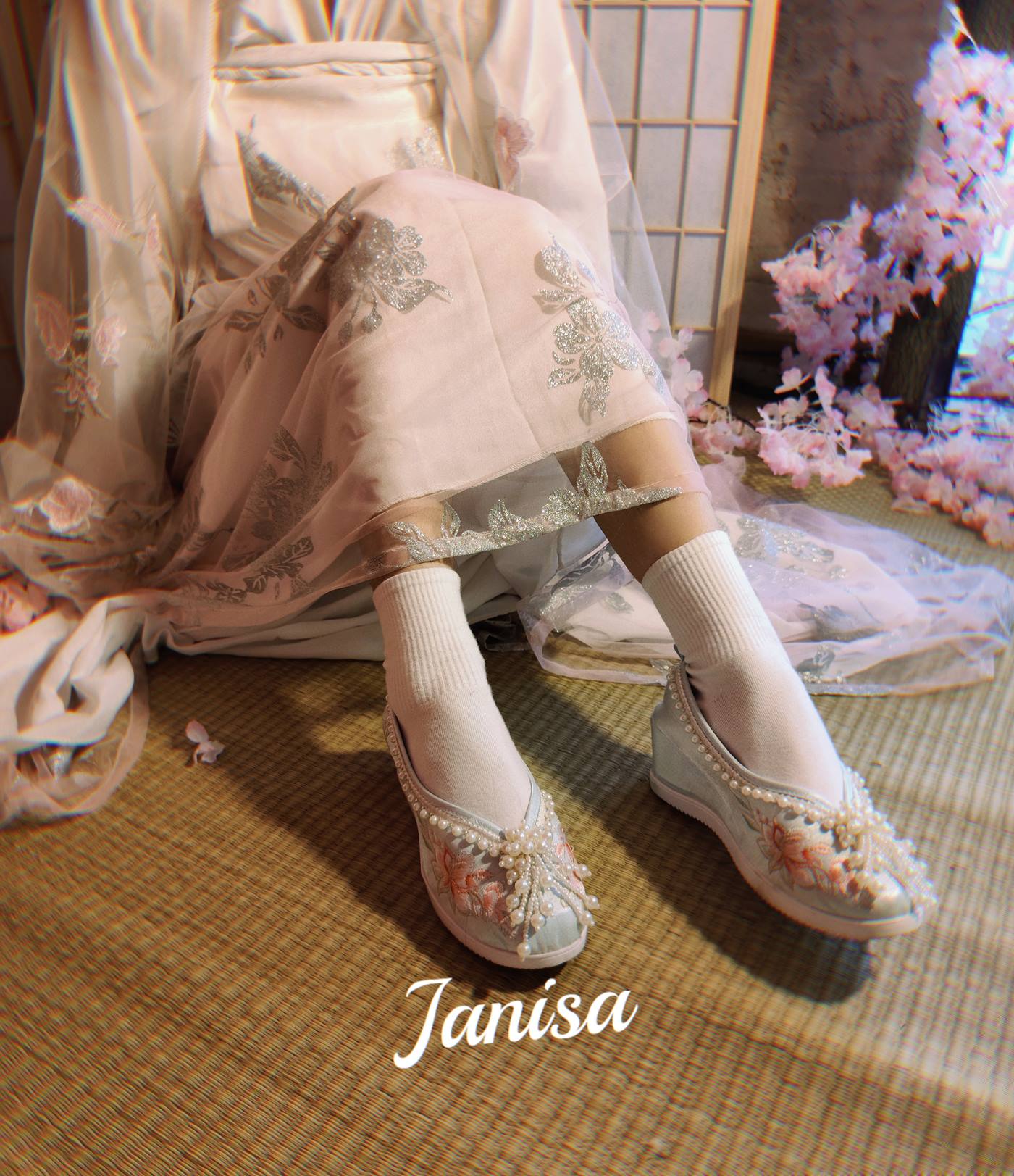 Janisa  朝花向晚 [22+1P]第3张