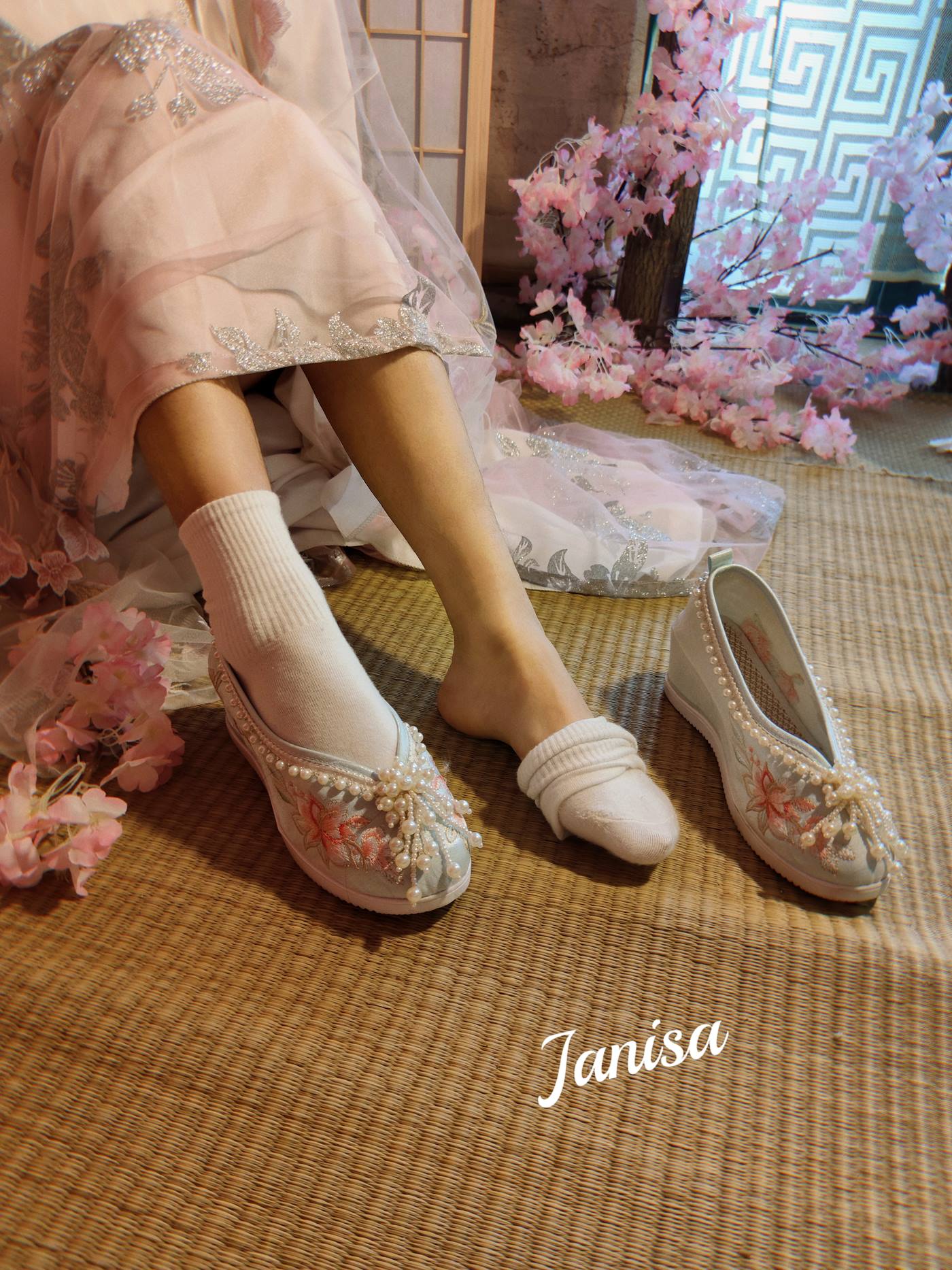 Janisa  朝花向晚 [22+1P]第3张