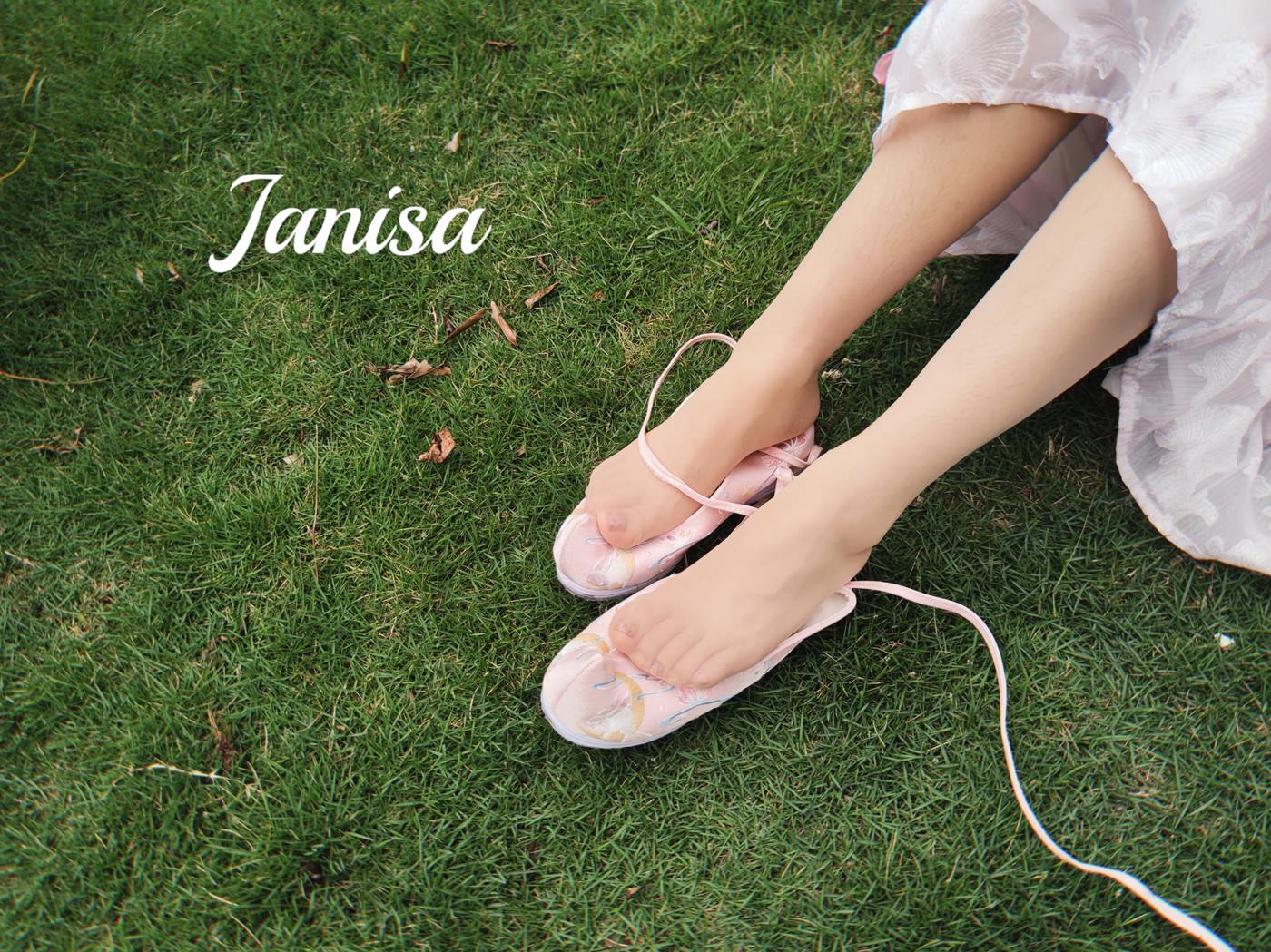 Janisa  云想衣裳[20P]第1张